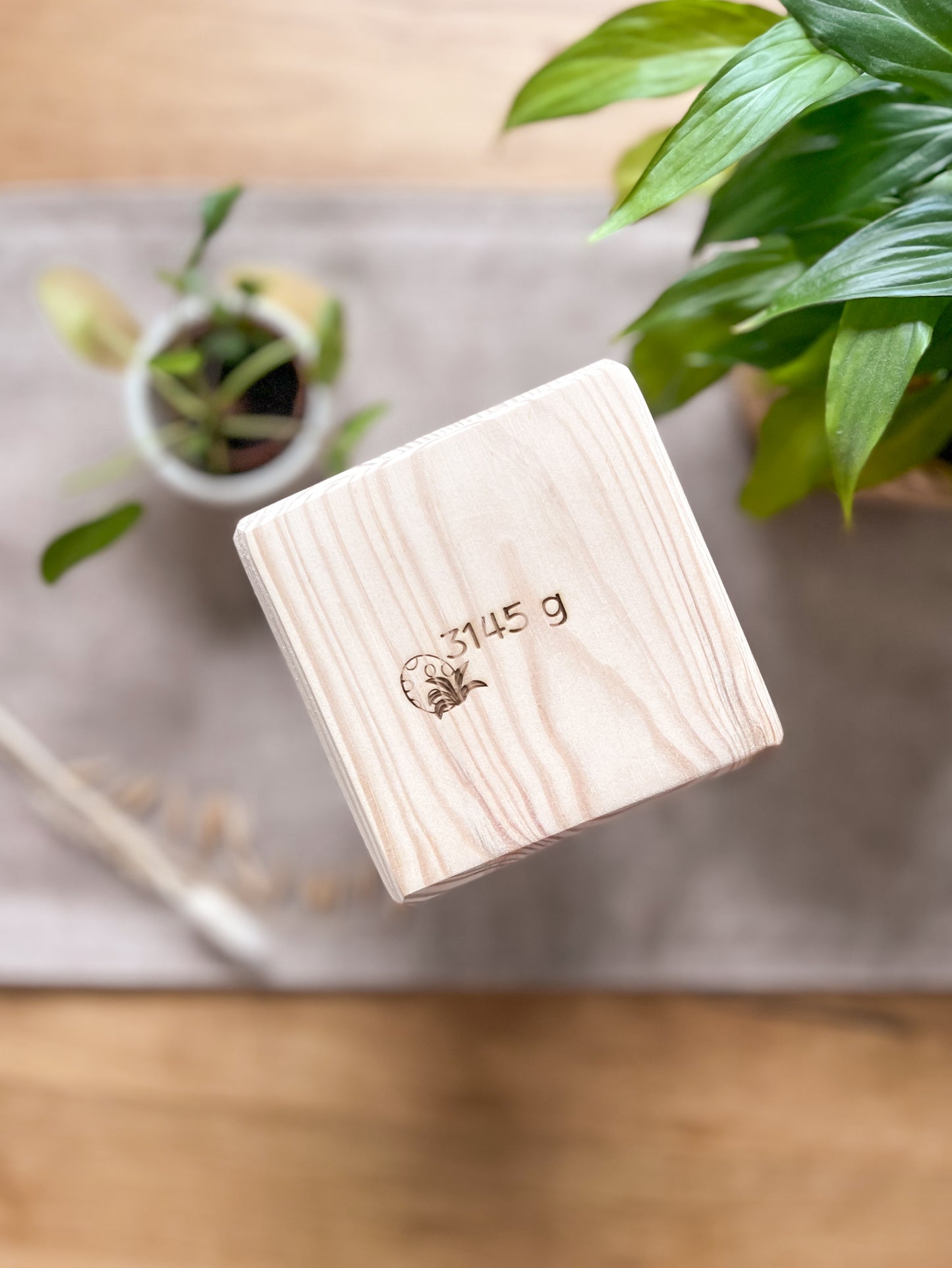 Holzspardose