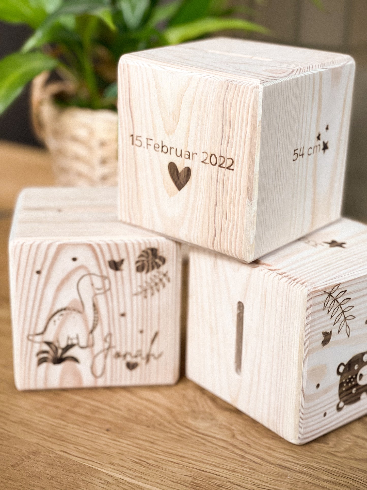 Holzspardose